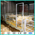 10x800 grand panneau pour animaux de compagnie exercice lowes clôture de chèvre